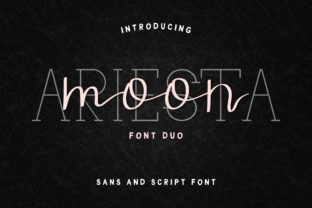 Ariesta Moon Duo: The Perfect Craft Font Pair