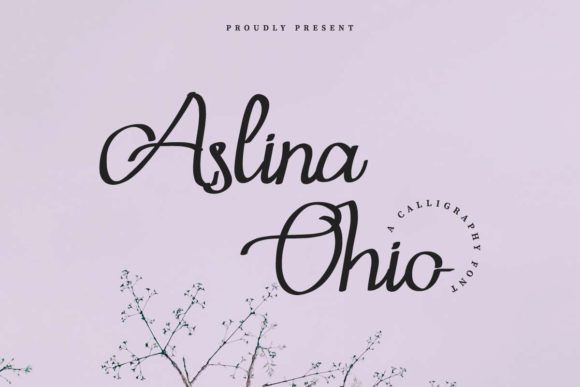 Aslina Ohio: A Delicate Script Font for Web Design
