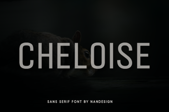 Cheloise: A Designer’s Honest Review