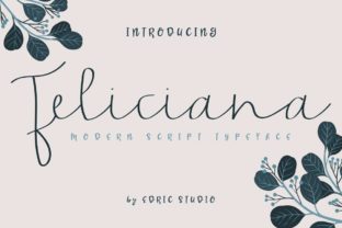 Feliciana: The Script Font That Elevates Brand Identity