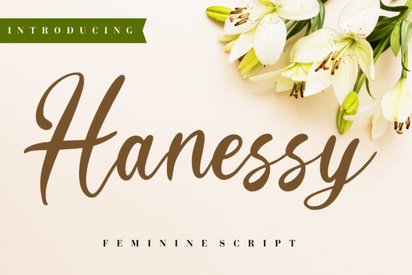 Hanessy Font Review for Campaign Design