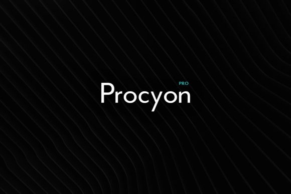 Procyon: A Minimal Sans Serif Font for Modern Branding