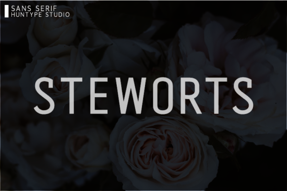 Steworts: A Refined Sans Serif Font for Modern Editors