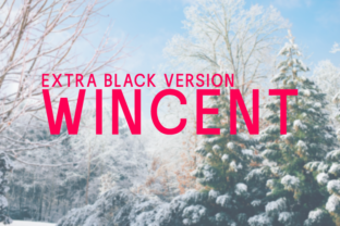 Wincent Extra Black: A Bold Typeface for Editorial Impact